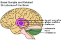 תמונה ממוזערת לגרסה מתאריך 03:25, 24 באוגוסט 2011