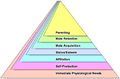 Kenrick pyramid of needs.jpg